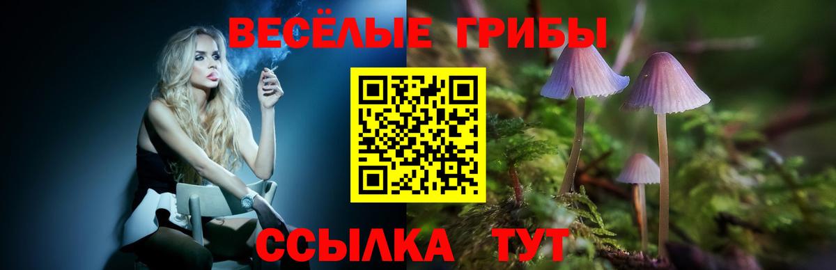 Галлюциногенные грибы ЛСД  Галлюциногенные грибы Psilocybe  сколько стоит  Серов  Вход с VPN 